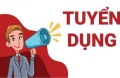 Thông báo Bệnh viện Đa khoa Hạ Long có nhu cầu tuyển dụng nhân lực hợp đồng có thời hạn.