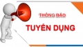 Bệnh viện Đa khoa Hạ Long có nhu cầu tuyển dụng bổ sung nhân lực lao động hợp đồng theo vị trí việc làm năm 2022