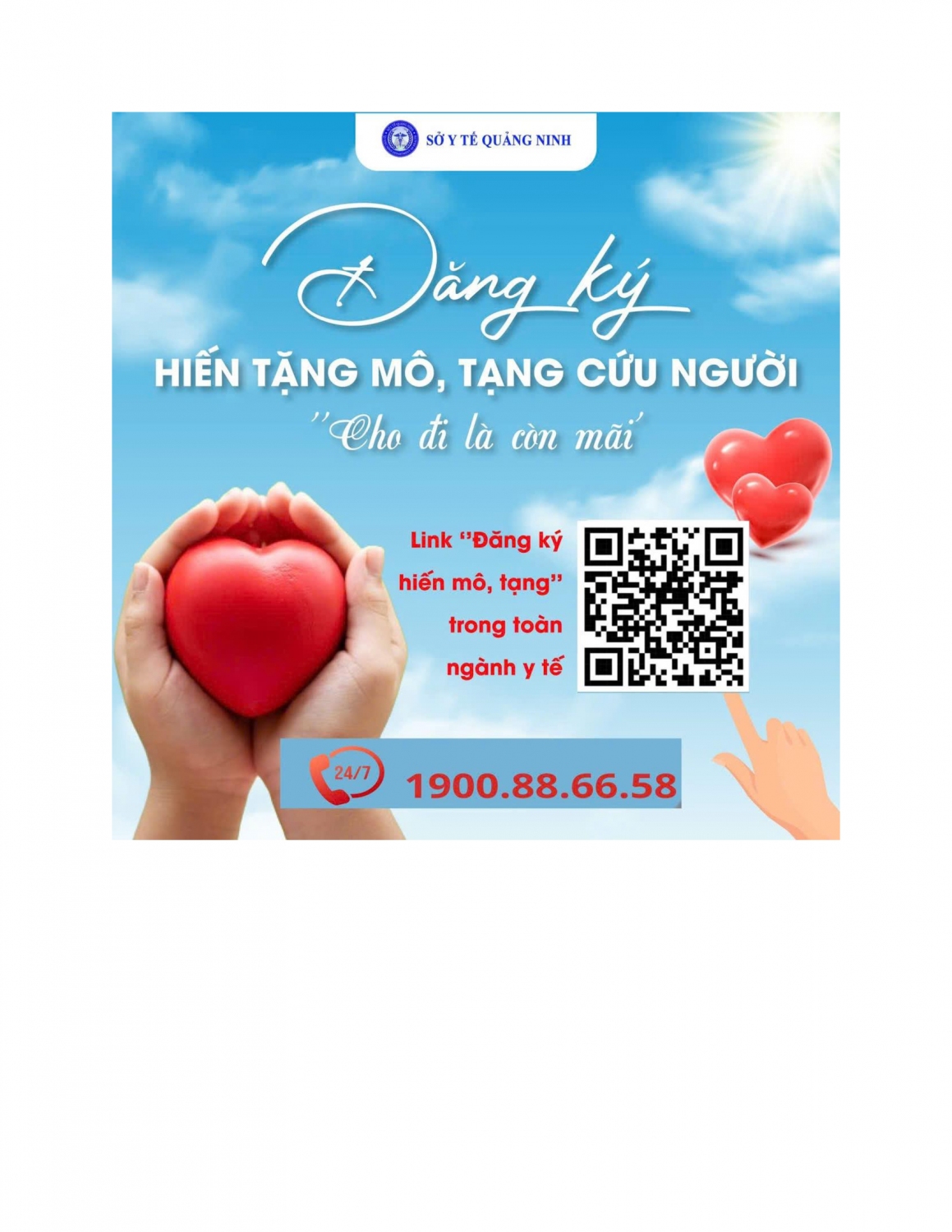 65d1e5f280b87fa73806b4011ad02a2d 2 2